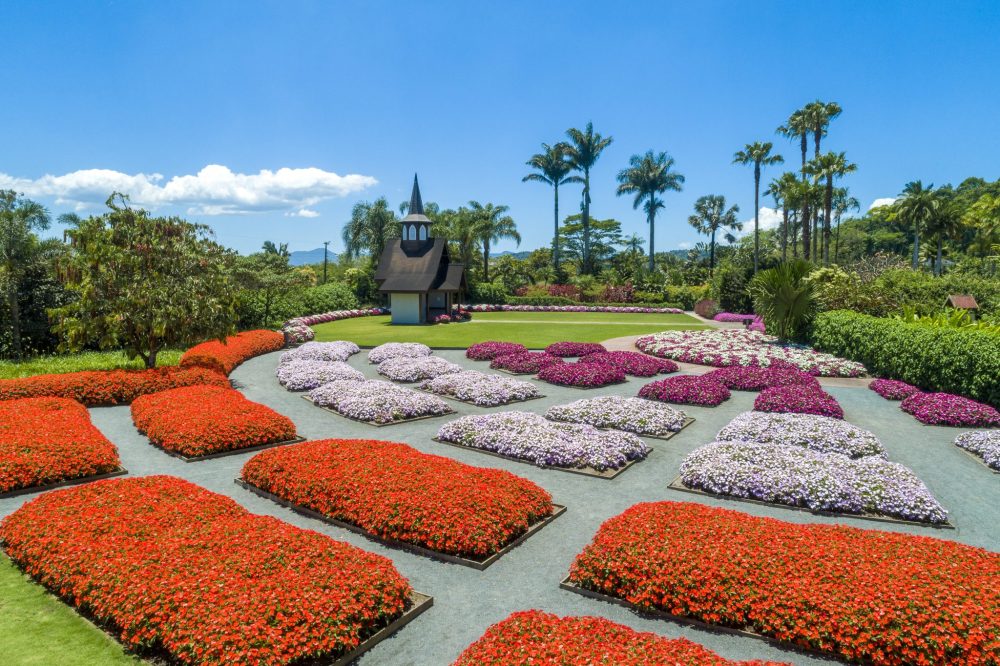 Jardins floridos e capela no Hemero Jardins como Arte em Joinville em dia ensolarado