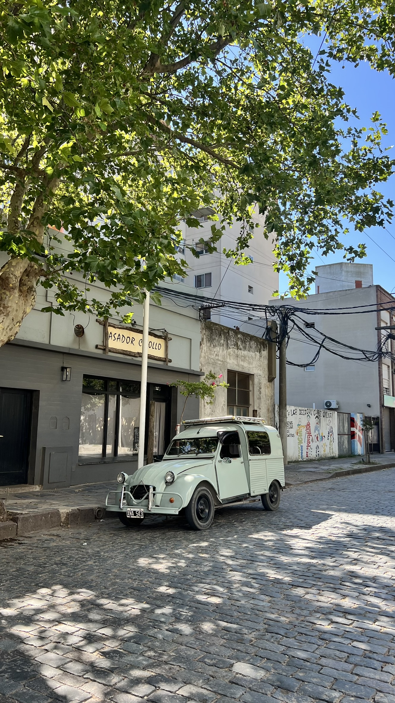 Rua de cidade argentina na Ruta 51 com carro antigo estacionado entre árvores