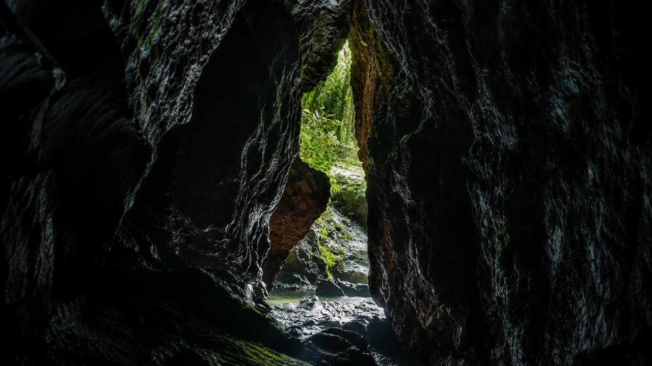 Interior da Caverna da Fuga, em Corupá, com vegetação verde iluminada pela abertura natural entre paredões rochosos escuros