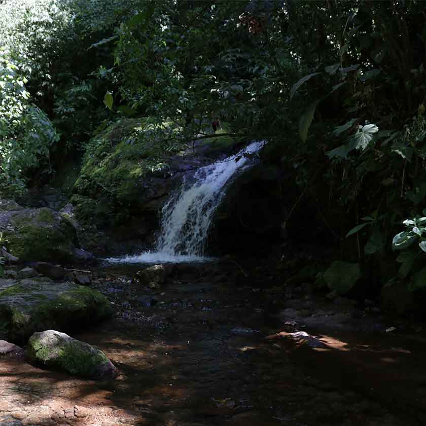 Pequena cachoeira cercada pela Mata Atlântica na Estrada Rio do Júlio, entre Schroeder e Joinville
