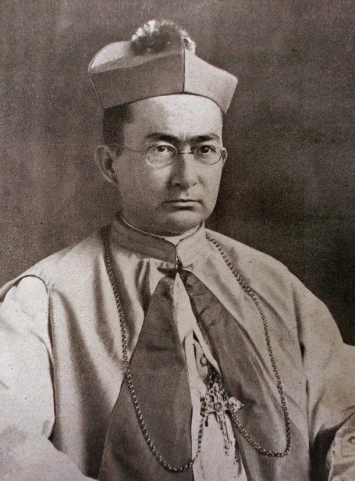 Dom Pio de Freitas, primeiro bispo da Diocese de Joinville