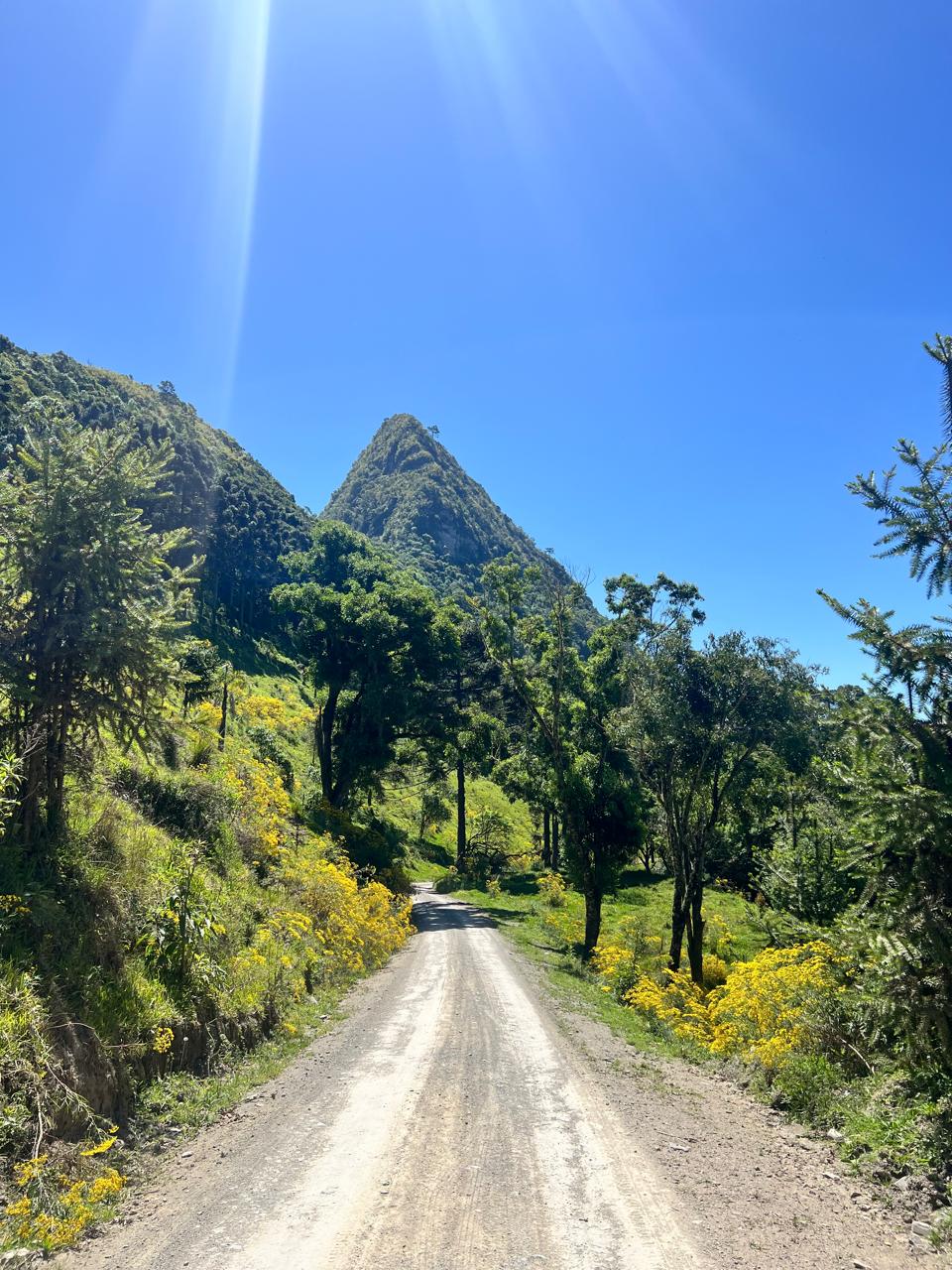 Estrada rural cercada por montanhas e mata nativa em Alfredo Wagner