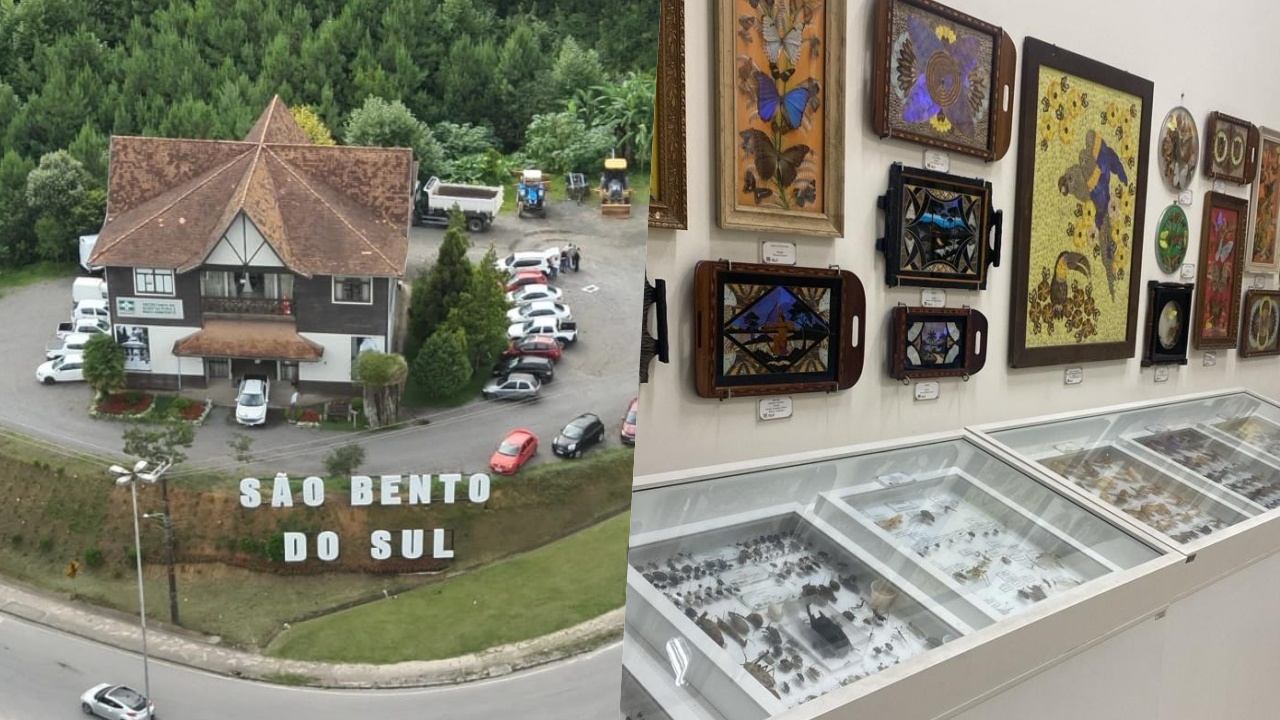 Conheça o museu de São Bento do Sul que reúne coleção de borboletas do Brasil e do mundo