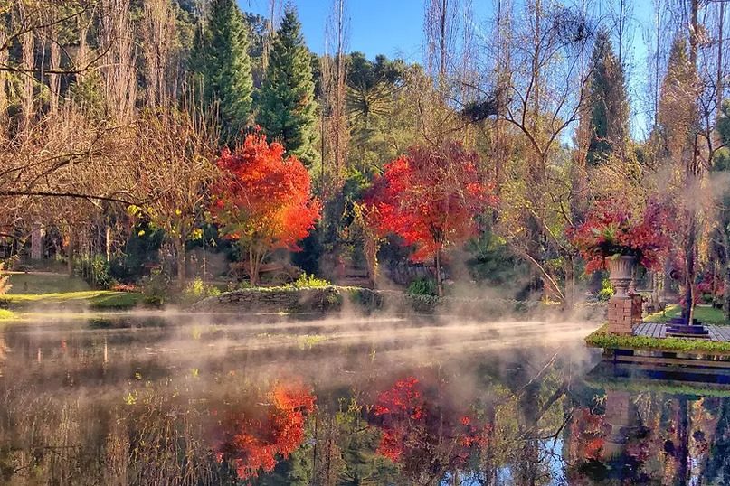Lago com névoa e árvores em tons de outono no Jardim Secreto Ville de France
