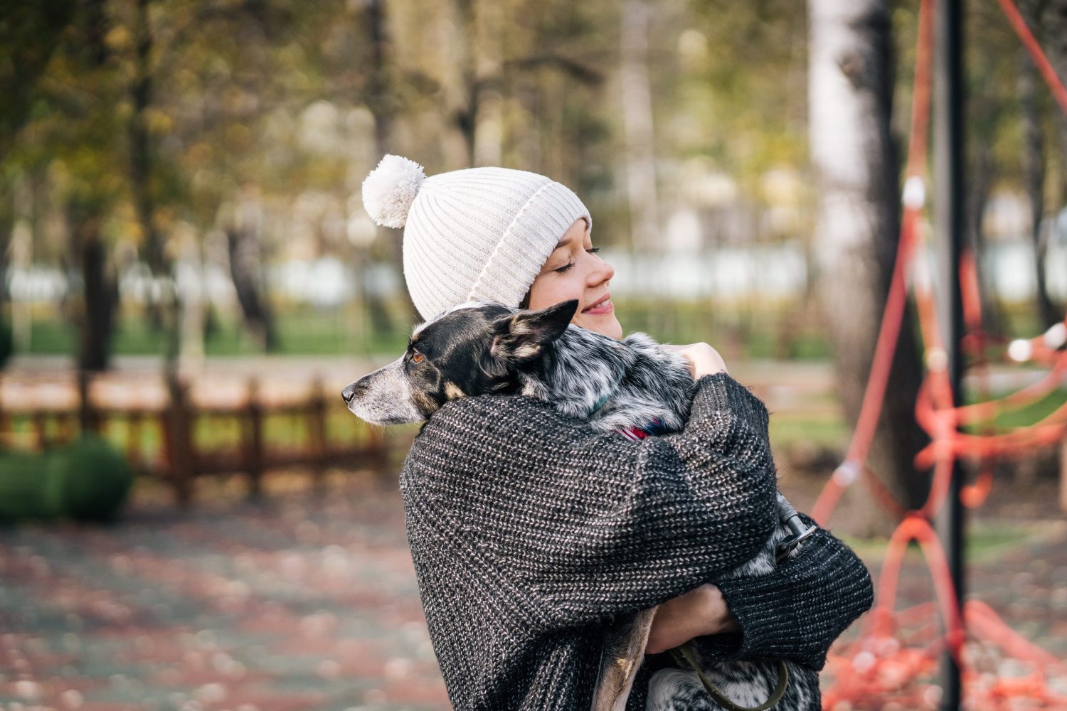 7 cuidados com cães e gatos no frio de Jaraguá do Sul; e saiba como ajudar os que vivem na rua