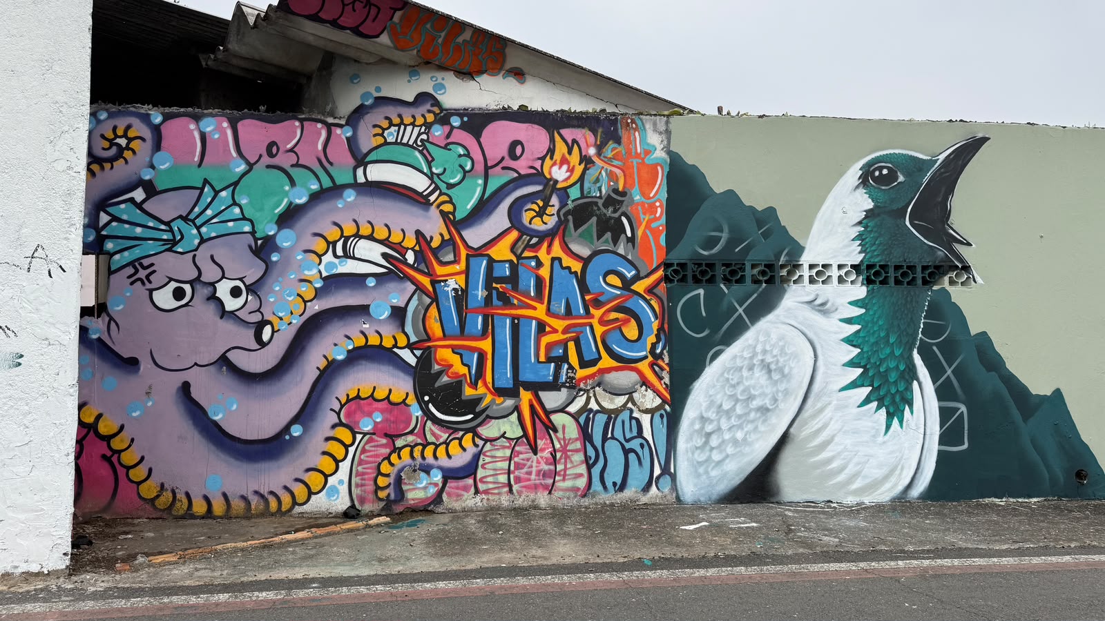 Grafites do Caminho das Artes retratam fauna e arte urbana em Jaraguá do Sul.