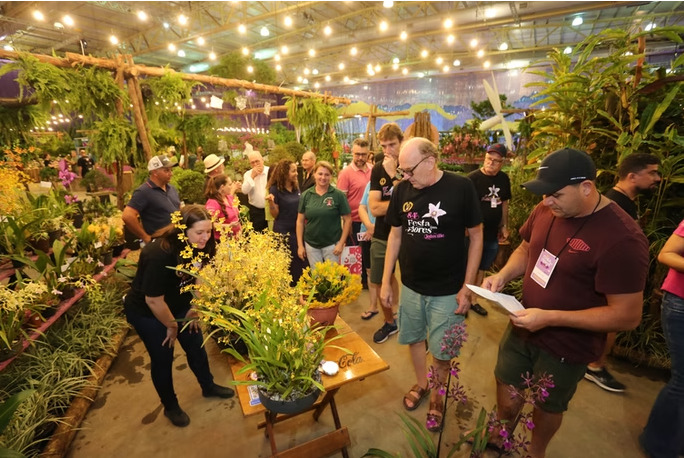 Festa das Flores de Joinville abre venda de ingressos para 2026; confira os valores e a programação